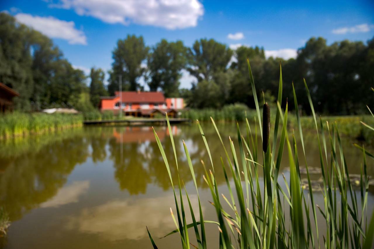 Penzion Amfik Bukovina Popovice  Dış mekan fotoğraf